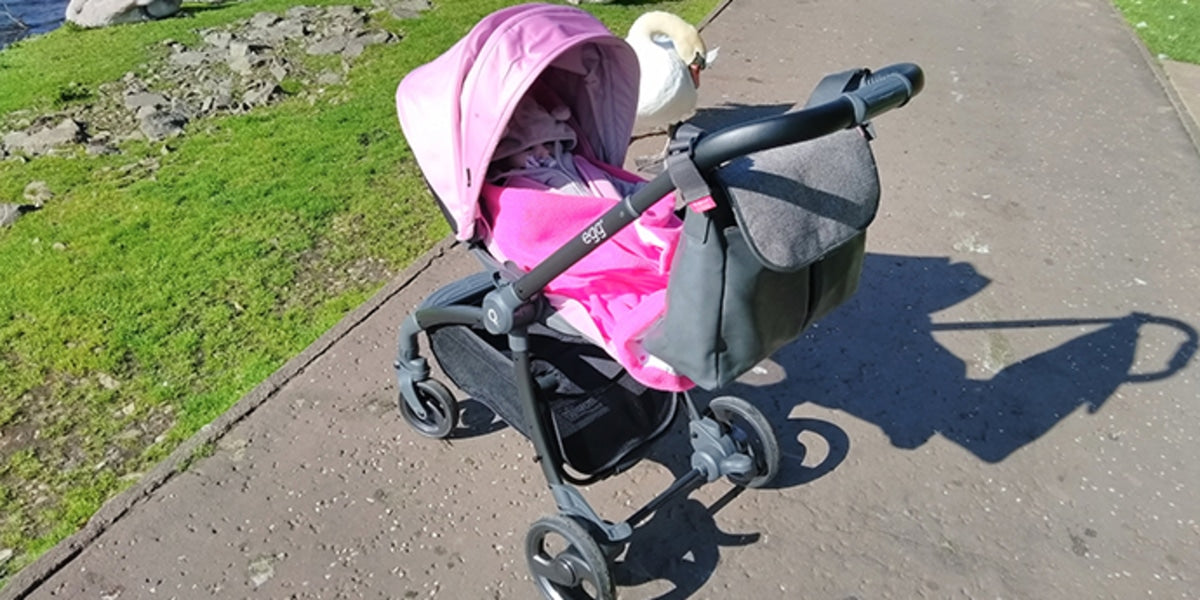 Egg quail pram review hotsell