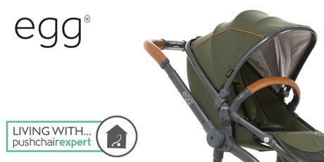 Egg Stroller Parent Review