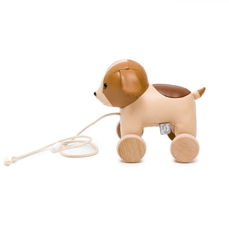 Little Big Friends Pull Along Animal Toy – Adrien the Dog