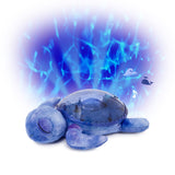 Cloud B Tranquil Turtle Projector Nightlight with White Noise Soothing Sounds - Ocean Blue