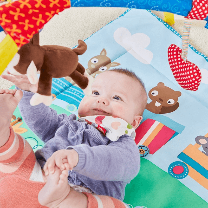 Nuby Newborn Animal Activity Play Gym