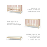 Mamas & Papas Solo Cot Bed - Blush / Natural