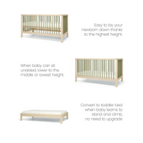 Mamas & Papas Solo Cot Bed - Moss Green / Natural