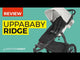 UPPAbaby Ridge All Terrain Pushchair - Theo